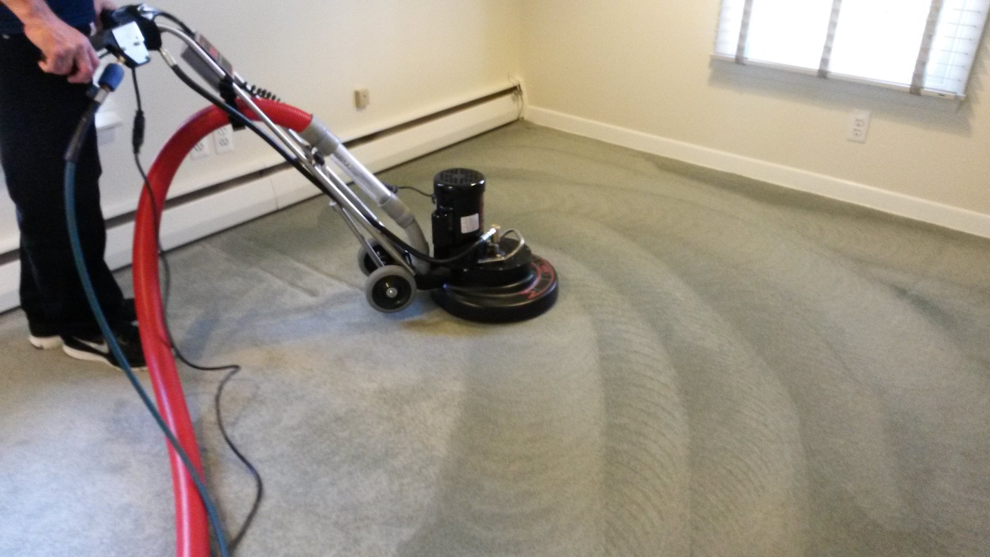 carpet cleaning Iva