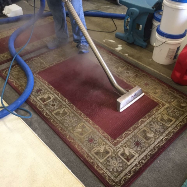 Carpet Cleaning Pendleton SC Mold Remediation A World of Difference